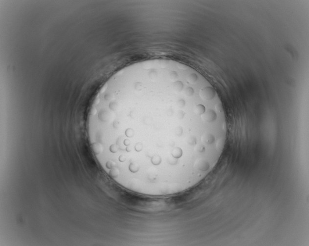 X0000114090418200910051214