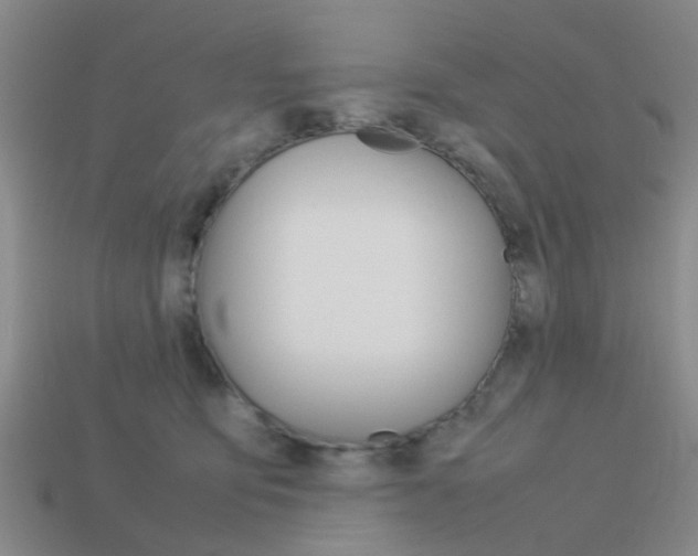 X0000114090419200910051214