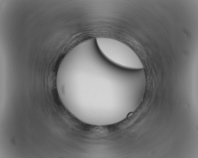 X0000114090421200910051214