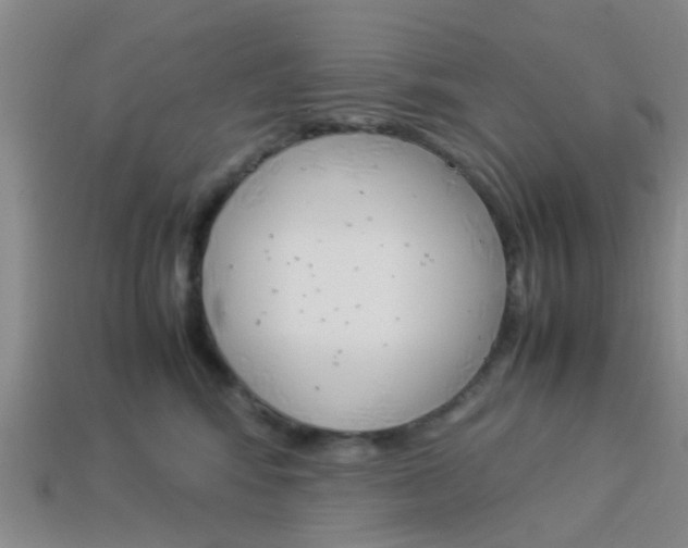 X0000114090424200910051214