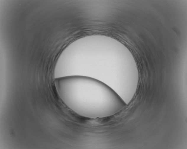 X0000114090425200910051214