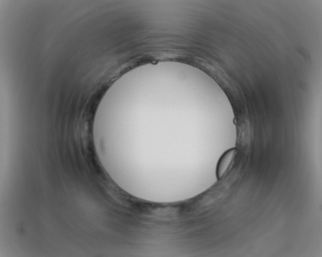 X0000114090426200910051214