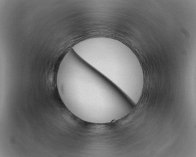 X0000114090428200910051214