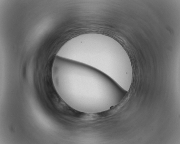 X0000114090429200910051214