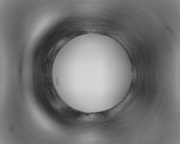 X0000114090430200910051214