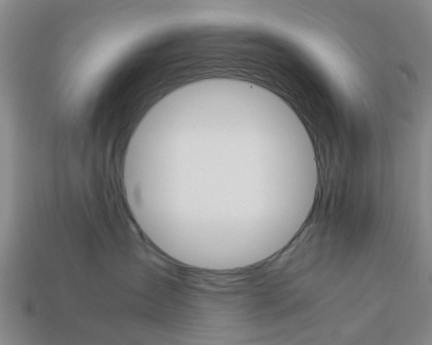 X0000114090431200910051214