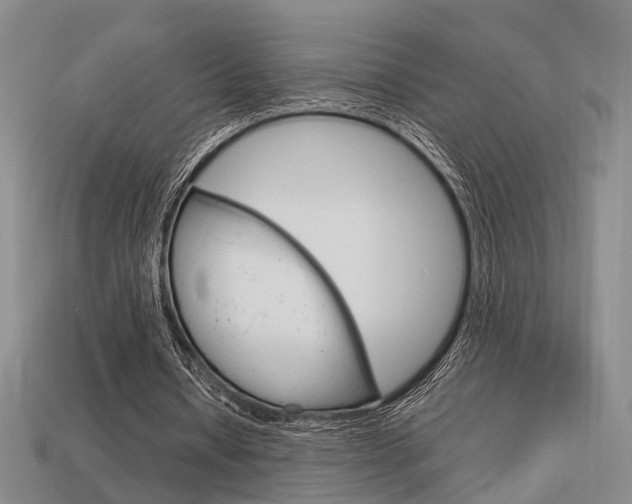 X0000114090434200910051213