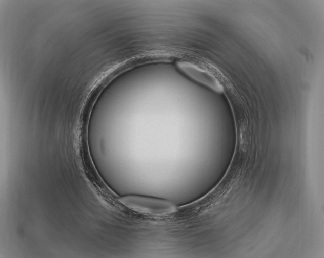 X0000114090436200910051213