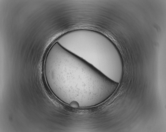 X0000114090438200910051213