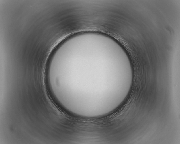 X0000114090440200910051213