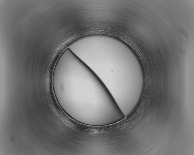 X0000114090442200910051213