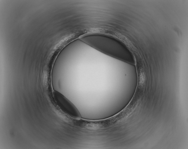 X0000114090444200910051213