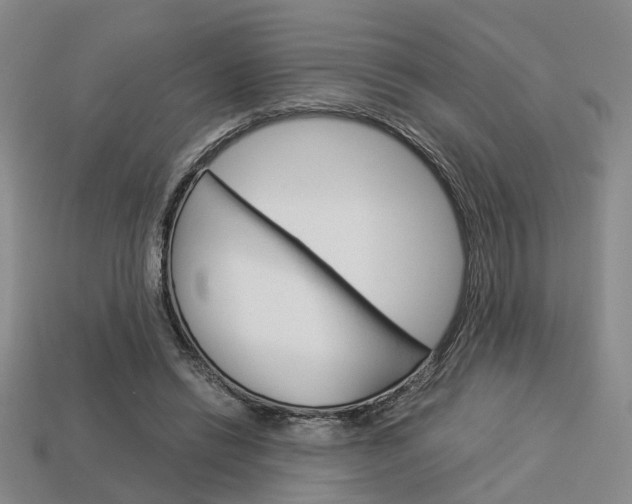 X0000114090446200910051213