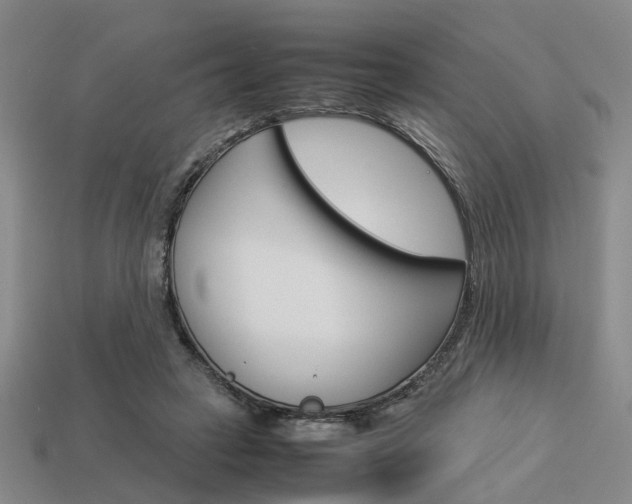 X0000114090449200910051213