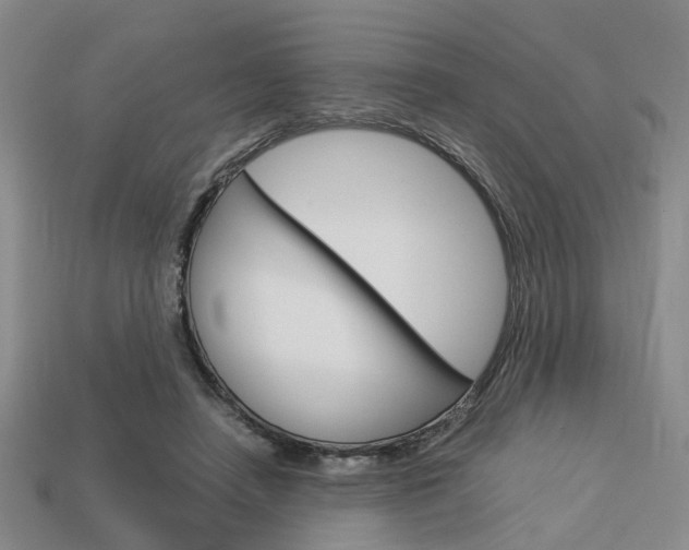 X0000114090450200910051214