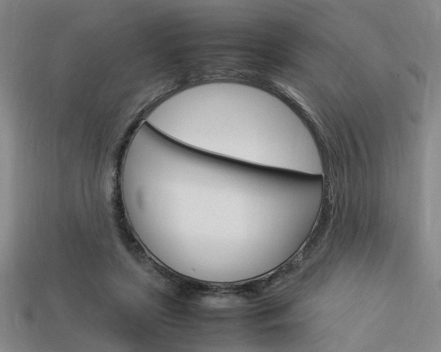 X0000114090451200910051214