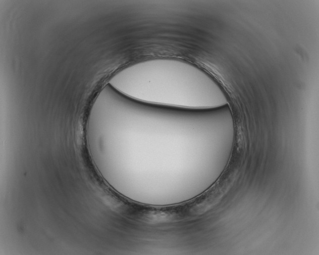 X0000114090453200910051214