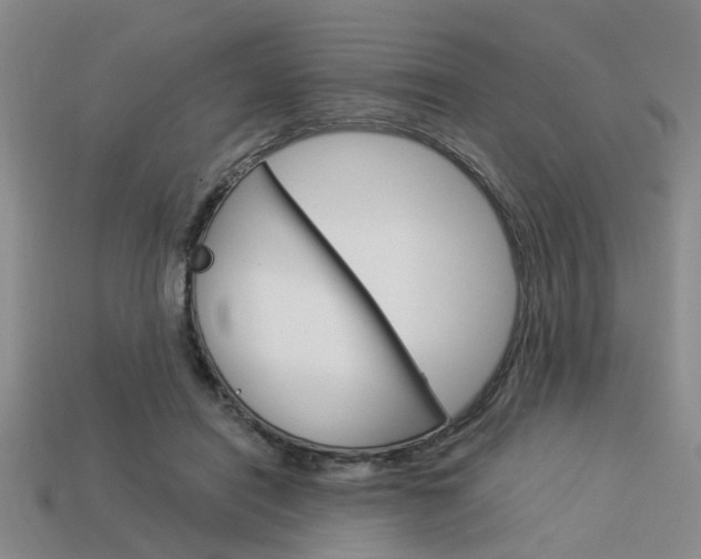X0000114090454200910051214