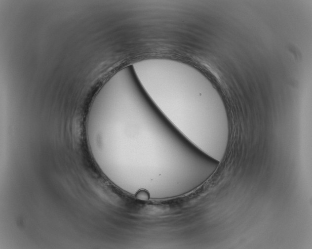 X0000114090455200910051214