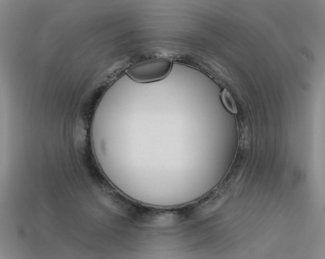 X0000114090456200910051214