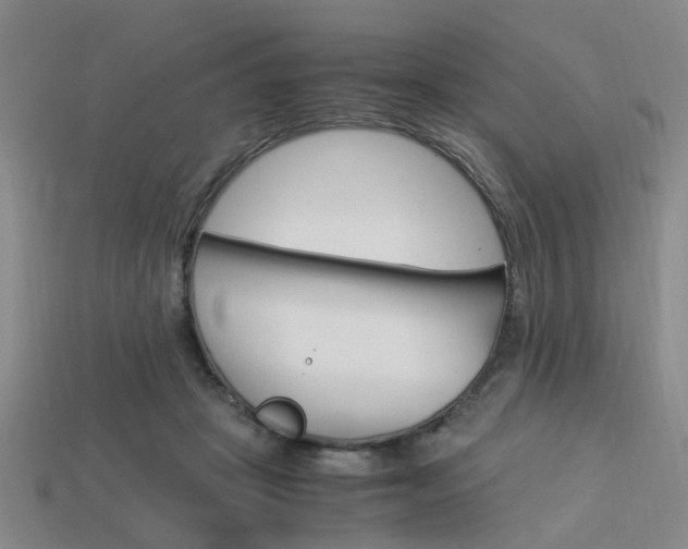 X0000114090457200910051214