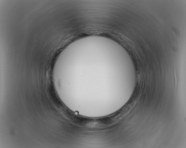 X0000114090460200910051214