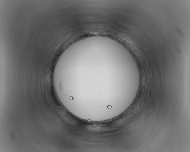 X0000114090461200910051214