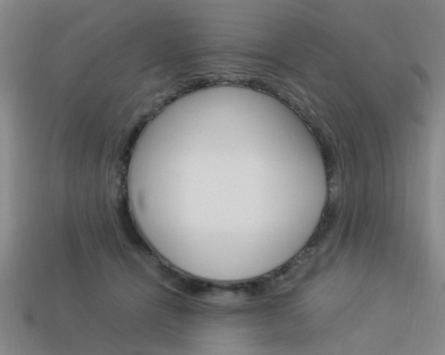 X0000114090464200910051214