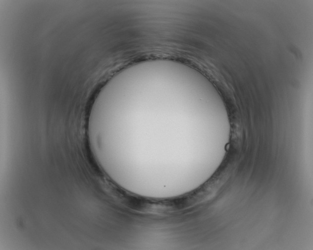 X0000114090466200910051214