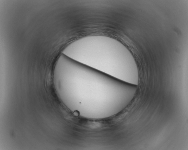 X0000114090469200910051214