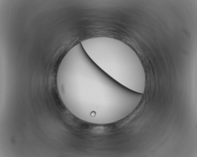 X0000114090473200910051214
