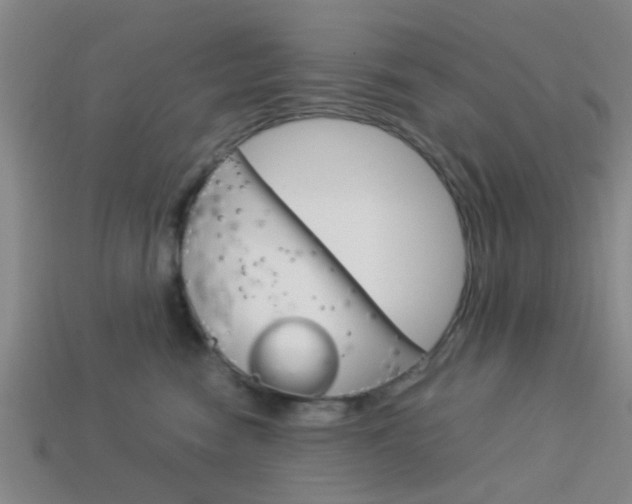 X0000114090474200910051214