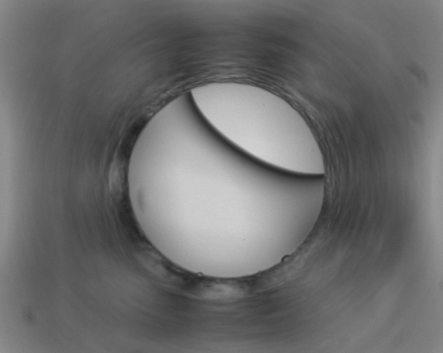X0000114090475200910051214