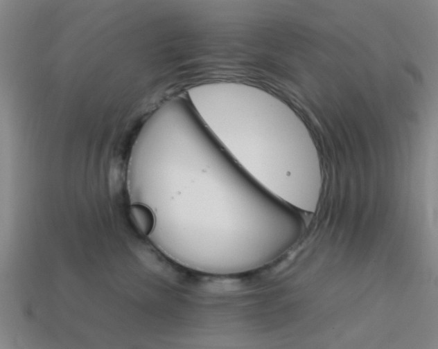 X0000114090476200910051214