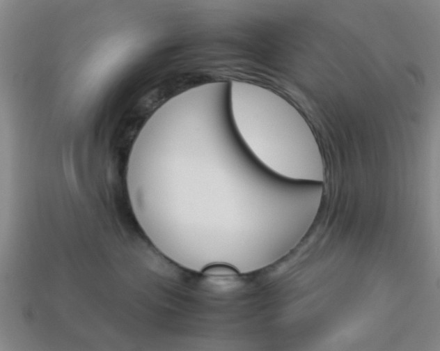X0000114090477200910051214