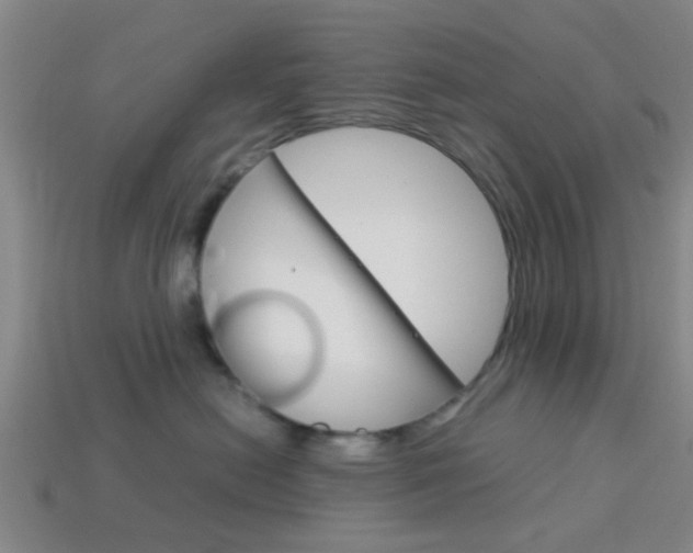 X0000114090478200910051214