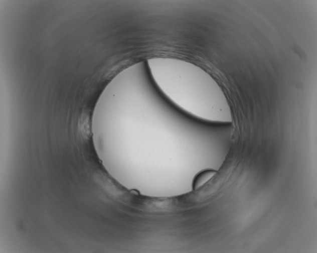 X0000114090479200910051214