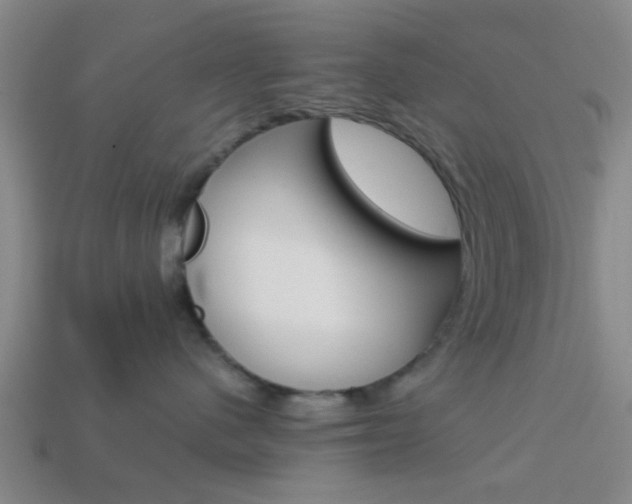 X0000114090480200910051214