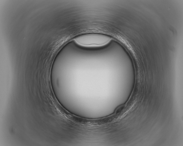 X0000114090481200910051213