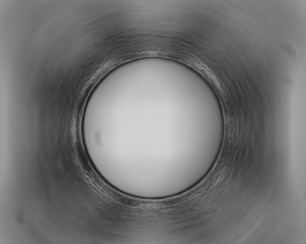 X0000114090482200910051213