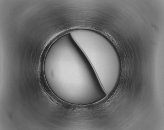 X0000114090484200910051213