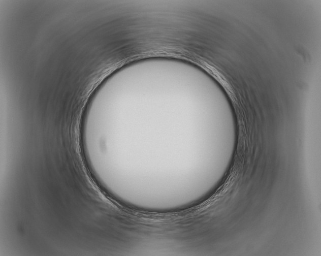 X0000114090485200910051213