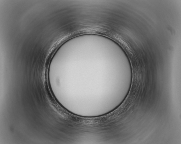 X0000114090486200910051213