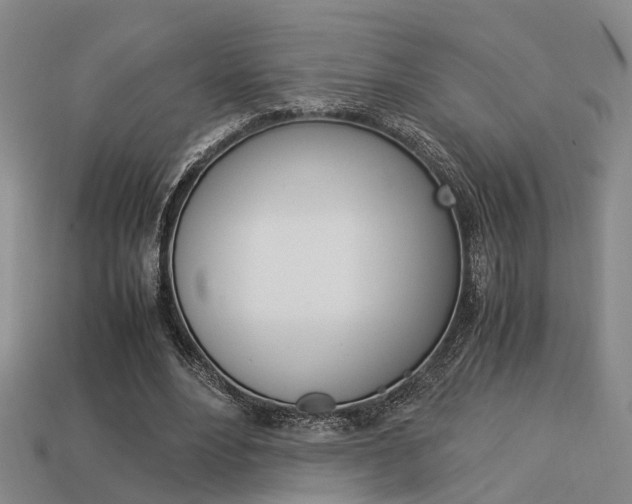 X0000114090488200910051213