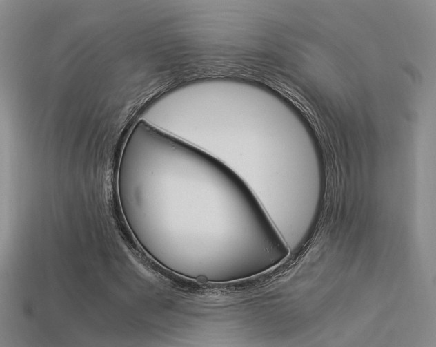 X0000114090489200910051213