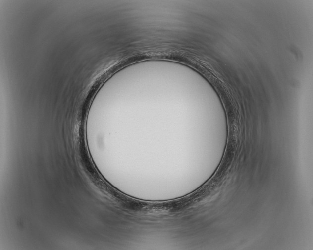 X0000114090491200910051213
