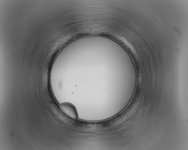 X0000114090493200910051213