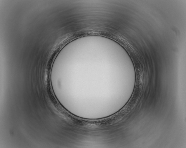X0000114090494200910051213