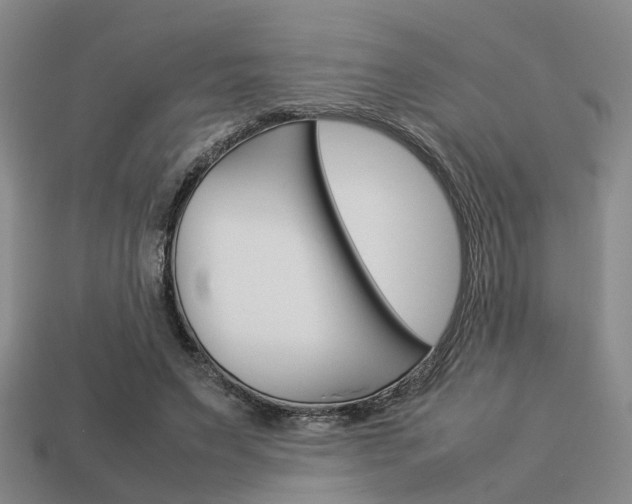 X0000114090495200910051213
