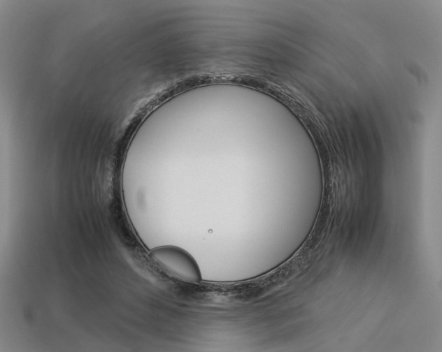 X0000114090496200910051213